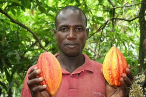 Kakaobauer: Deutsche mögen Fairtrade-Produkte (Foto: GEPA)