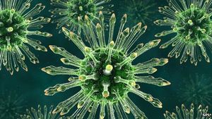 HI-Virus: Forscher machen Hoffnung auf neue Impfstoffe (Foto: SPL)