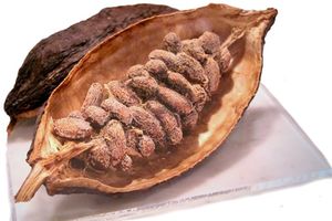 Kakao: Flavonoide senken Insulinspiegel (Foto: pixelio.de, H. Souza)