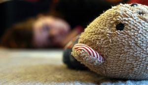 Teddy: Verlust der Spielfreude als Warnzeichen (Foto: pixelio.de, CFalk)