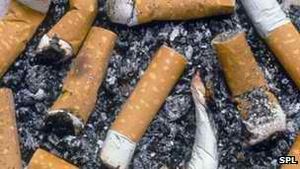 Aschenbecher: Zigarettenpackungen beeinflussen Verhalten (Foto: SPL)
