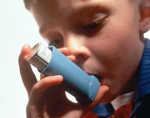 Asthma-Inhalator: Kosten für Medikamente länderabhängig (Foto: iwdn)
