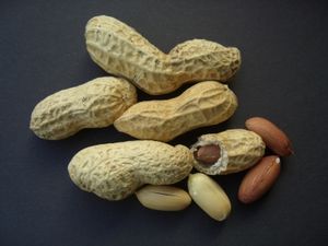 Erdnüsse: Allergie lässt sich verhindern (Foto: pixelio.de, Lizzy Tewordt)