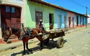 Kubaner mit Pferd: Kuba setzt auf Reformen (Foto: flickr.com/Bud Ellison)