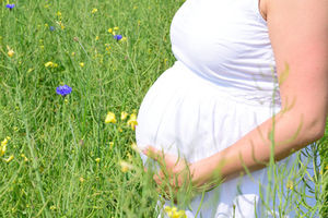 Schwangere: Glyphosat verkürzt Dauer (Foto: pixelio.de, Steffen Deubner)