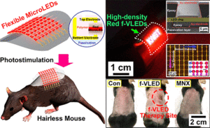 Tests mit Mäusen: Behandlung per LED-Chip erfolgreich (Grafik: acs.org)