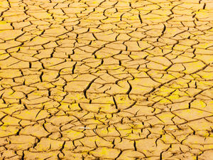 Ausgetrockneter Boden: Da geht der Mais ein (Foto: Versonnen, pixelio.de)