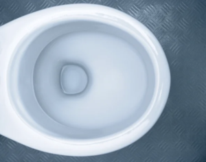 Toilette: makellos sauber auch ohne Wasserspülung (Foto: spotlessmaterials.com)
