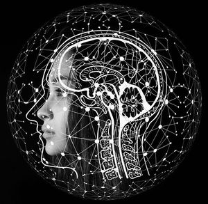Gehirn: Forscher unterbinden Bildung von Plaques (Foto: pixabay.com, geralt)