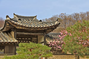 Die reiche und lange Kulturgeschichte Koreas spiegelt sich in zahlreichen traditionellen Gebäuden wider.