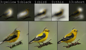 Die Microsoft-KI erstellt anhand einer Beschreibung einen Vogel.