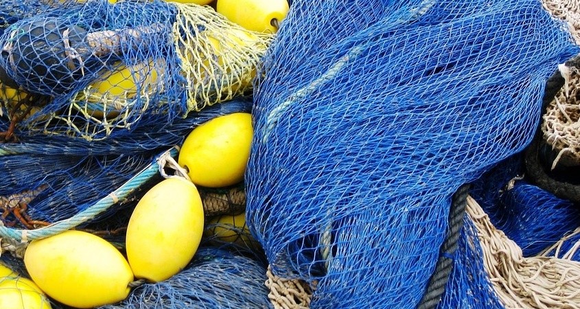 Neuer Kunststoff ist keine Gefahr für das Meer