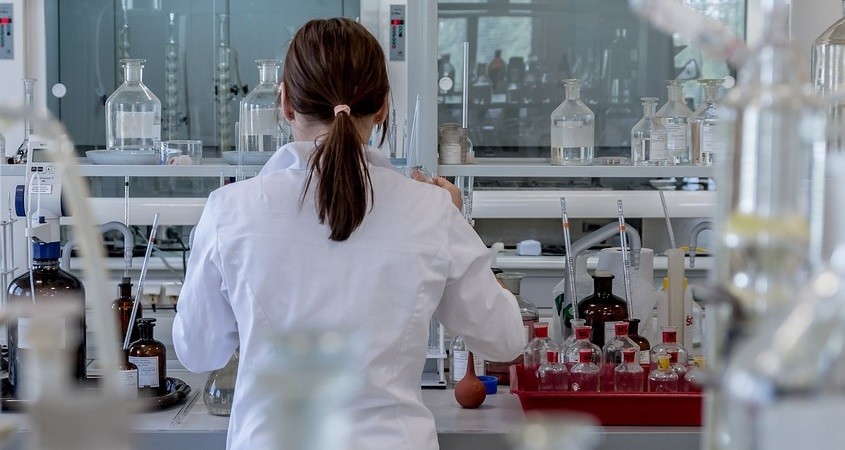 Auf Chip wachsen nun natürliche Blutgefäße