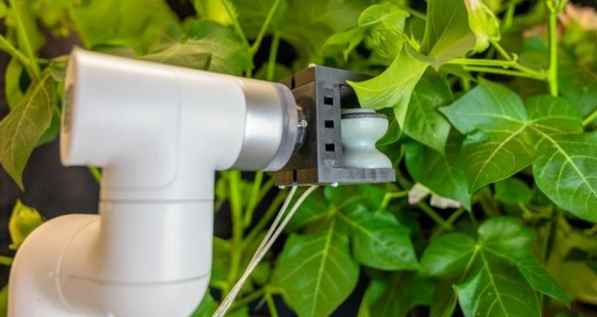 Robo-Greifer für die Präzisionslandwirtschaft
