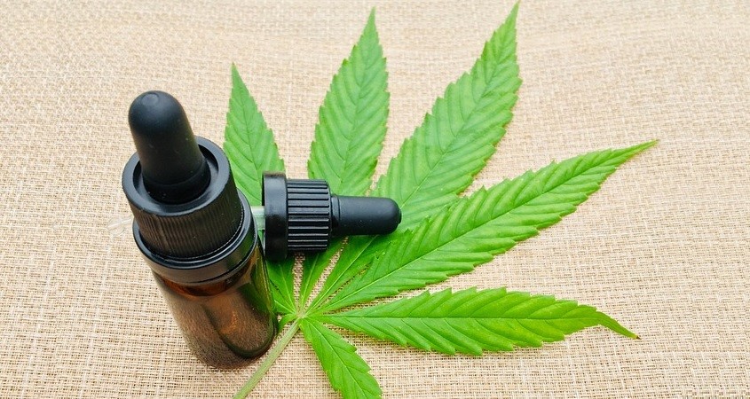 Cannabis-Extrakt tötet gefährliche Pilze sicher