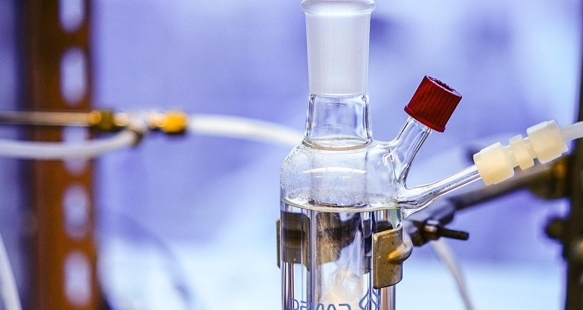 Kahlschlag gefährdet die Wirtschaft der USA