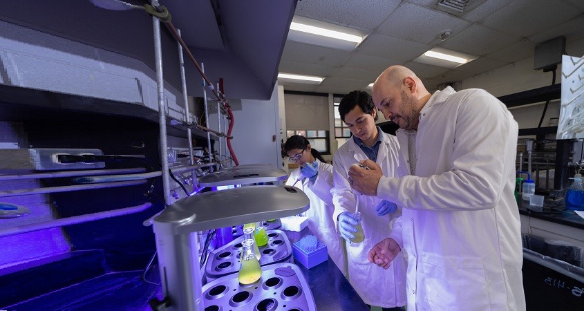 Nanopartikel machen mehr Mikroalgen-Sprit