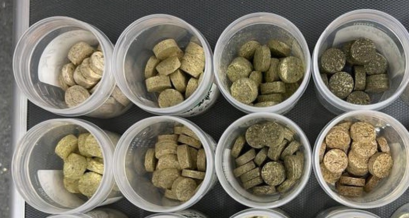 Unkraut wird zur Basis für erneuerbare Bioenergie