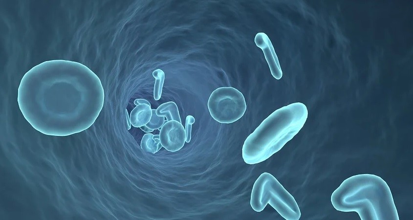 Neue Nanopartikel können Infarkte verhindern