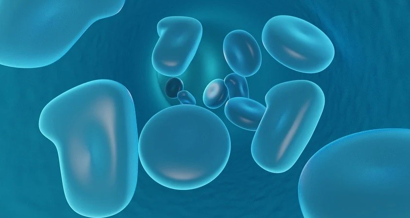 Zeaxanthin unterstützt Krebstherapie effektiv