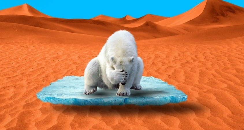 Klimagipfel-Webseite bewirkt Emissions-GAU