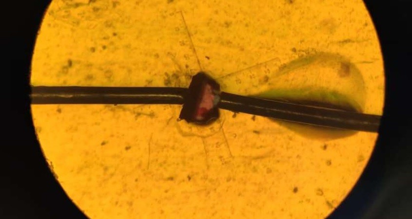 Bewegung lässt elektrischen Strom fließen