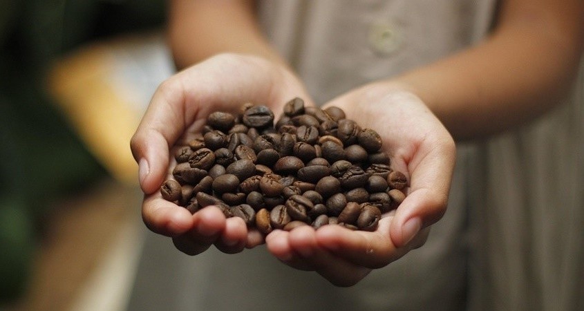 Polyphenole im Essen gut für Herzgesundheit