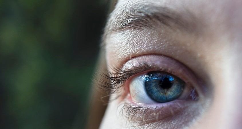 3D-gedruckte Hornhaut macht Blinde sehend