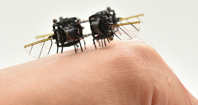 Robo-Hummel ist extrem wendig und schnell