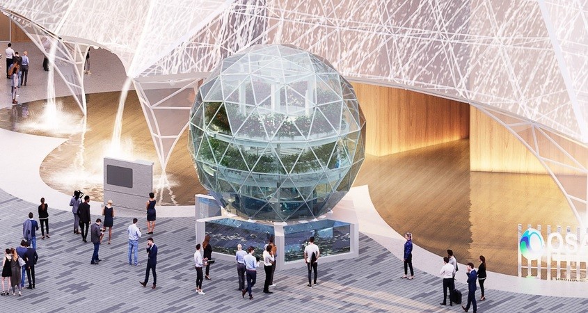 Fisch und Gemüse kommen künftig vom Dach