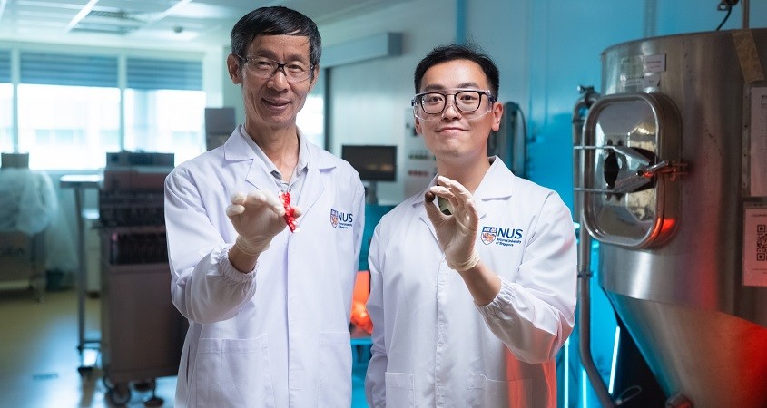 Schokolade kommt in Zukunft ohne Kakao aus