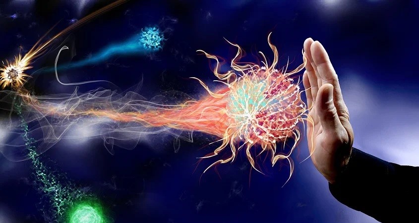 MIT-Forscher verj&uuml;ngen das Immunsystem