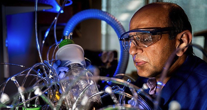 Biologisch abbaubares Plastik birgt Gefahren