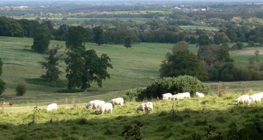 Ländliche Regionen leiden unter Mikroplastik