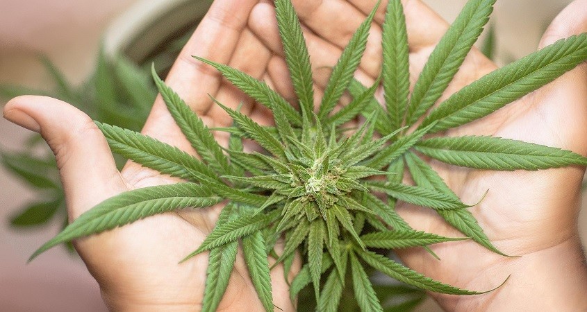 Vareniclin hilft Männern gegen Cannabissucht