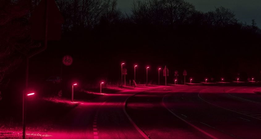Rot strahlende Laternen retten Fledermäuse