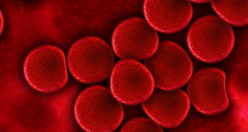 Gerät schafft schnelle Kontrolle von Spenderblut