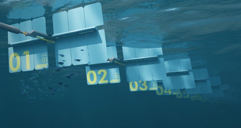 Barbados nutzt bald Wellen zur Stromerzeugung