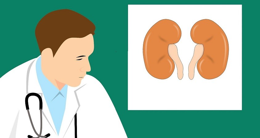 Nierenleiden: Säureungleichgewicht übersehen