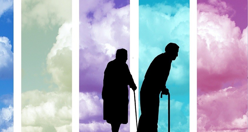 Entfernung der zirkulären RNA verlängert Leben