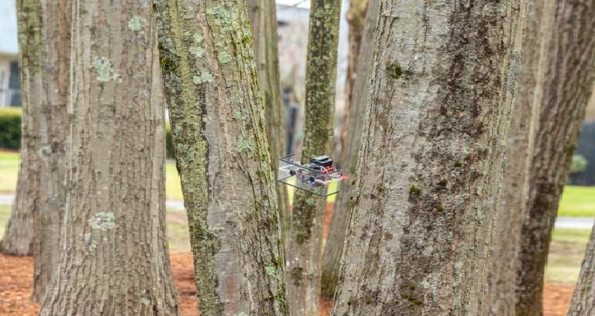 Smarte Drohne navigiert wie eine Fledermaus
