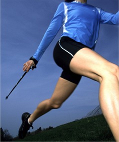 Exel Sport