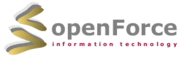 openForce Information Technology GesmbH