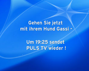 Puls TV