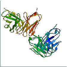 Struktur eines Antikörpers Struktur eines Antikörpers