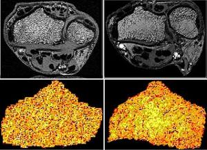 MPI für extraterrestrische Physik MPI für extraterrestrische Physik
