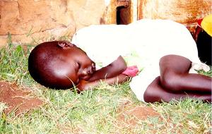 Rund 500 Mio. Menschen erkranken jährlich an Malaria