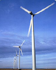 Windenergie als Ursache für hohe Strompreise?