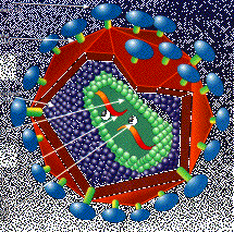 Darstellung eines HI-Virus