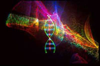 Homer Proteine können chronische Schmerzen hemmen  (Foto: pharmakologie.uni-hd.de)